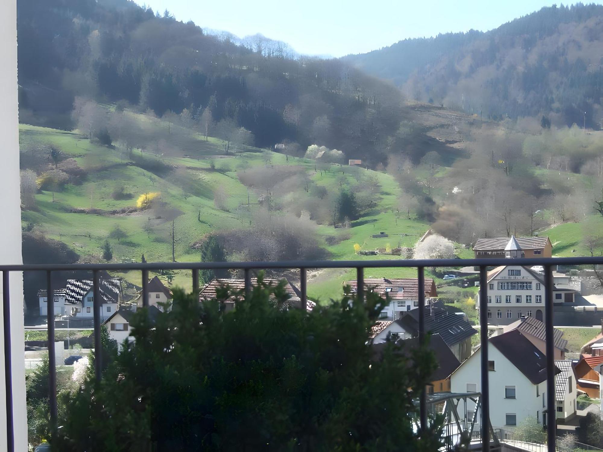 Regina'S Gaestehaus Weisenbach Exteriör bild